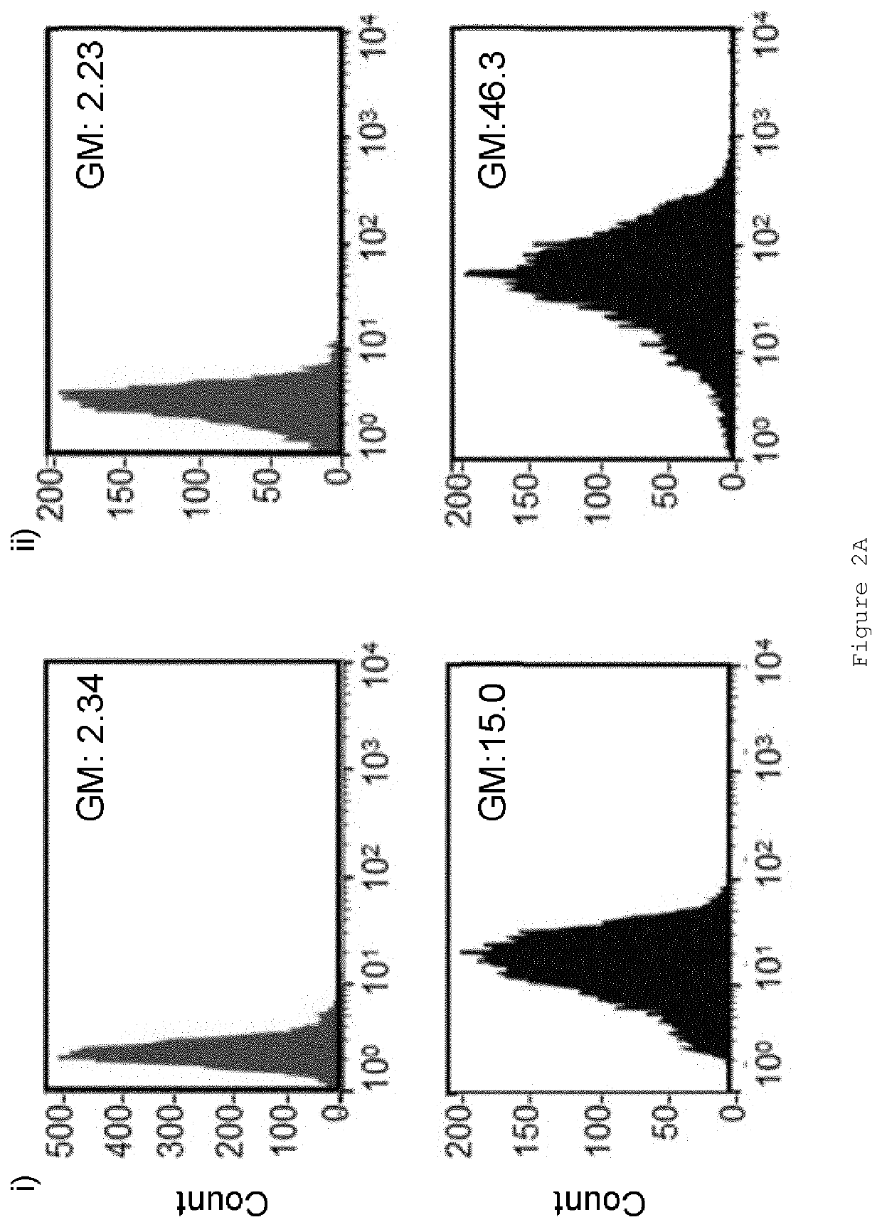 Tumour-targeting peptide variants