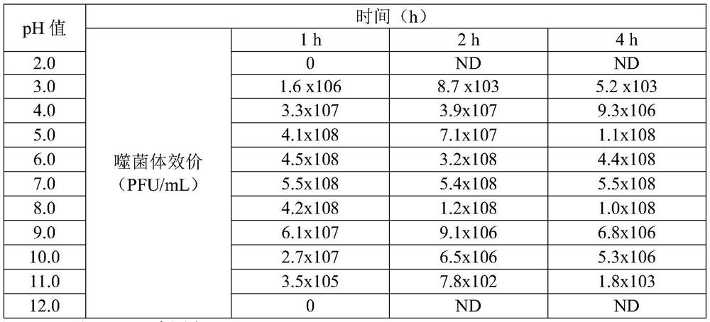 A Salmonella phage that can reduce the vertical transmission of Salmonella pullorum and its application