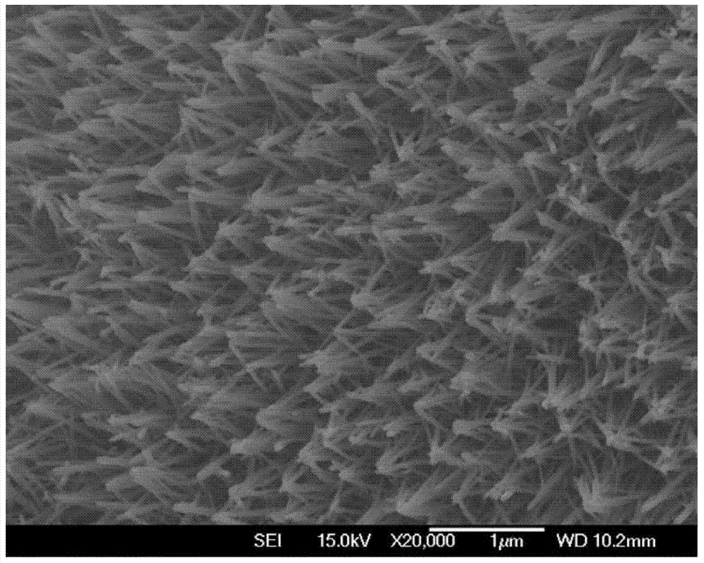 Synthesis method of zinc oxide nano wire harness array/foam graphene composite material and application thereof