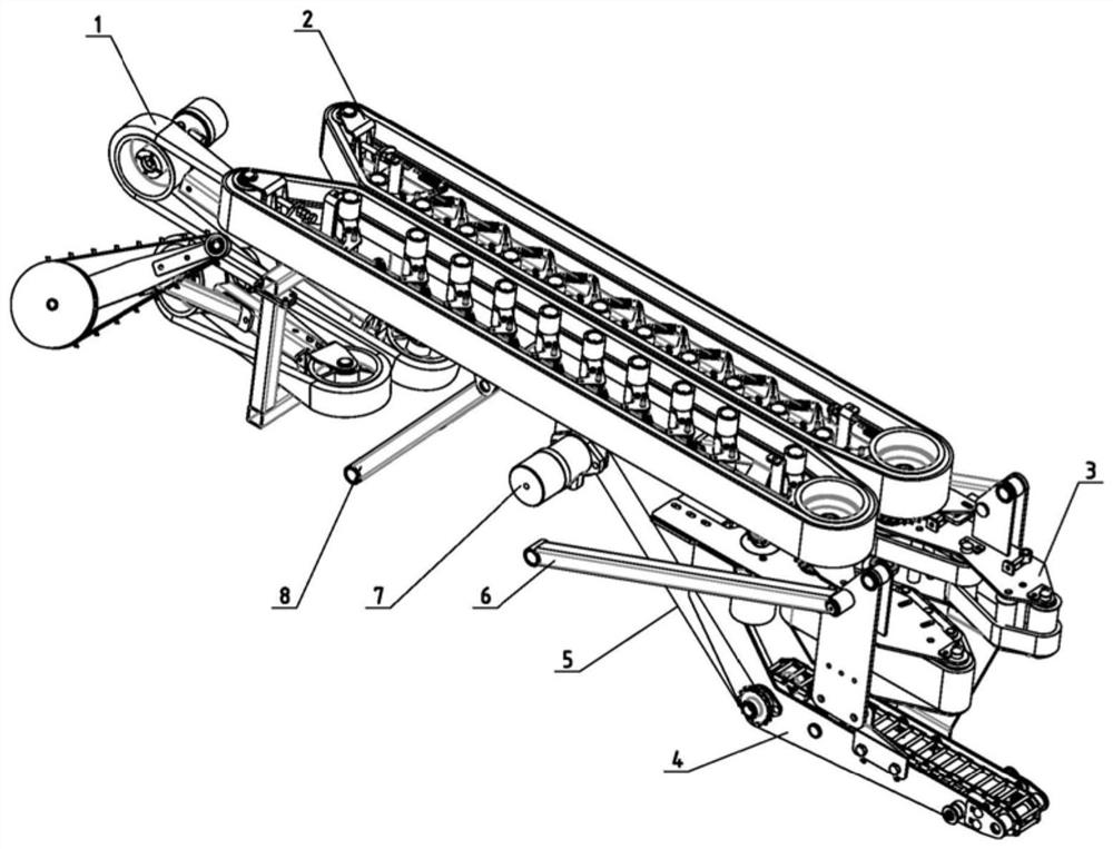 A clamping and conveying mechanism of a green onion harvester