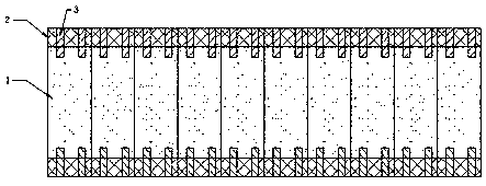 Z-PIN enhanced honeycomb sandwich plate and moulding process thereof