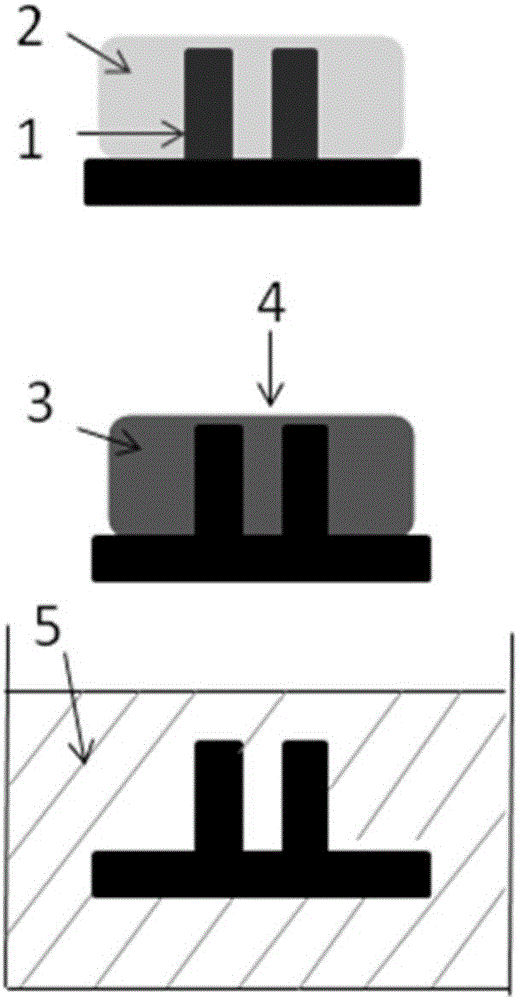 A Method for Immobilizing High Aspect Ratio Micro/Nano Structures Based on Gel Interaction