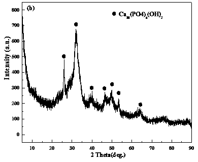 A kind of preparation method of calcium hydroxyphosphate