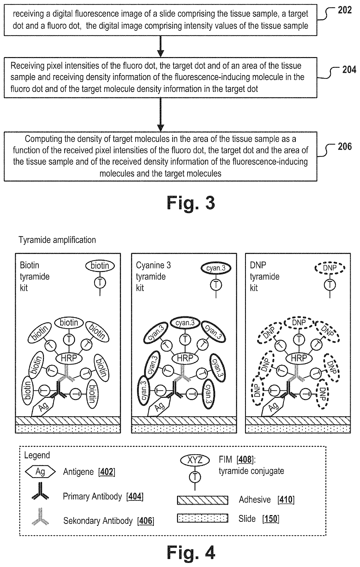 Target molecule density determination in a fluorescence image