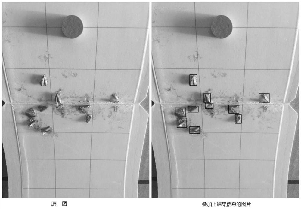 Automatic tobacco insect identifying and counting method and computer readable medium