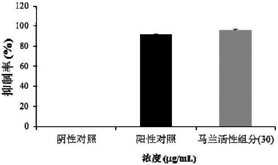 Indian kalimeris herb active component and compounds as well as preparation and application