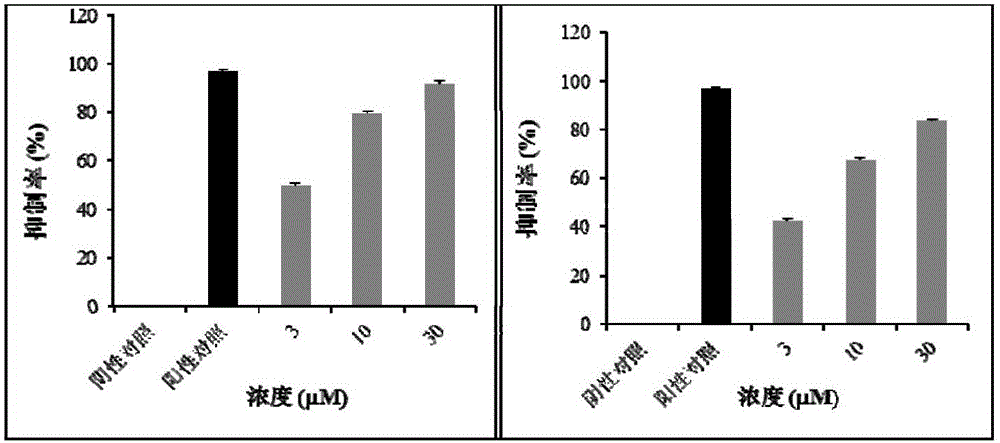 Indian kalimeris herb active component and compounds as well as preparation and application