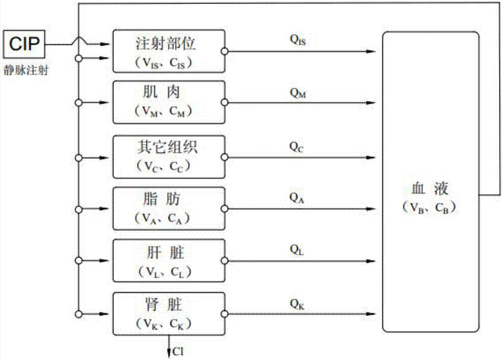 Method for predicting residue of ciprofloxacin in pig body by physiologically based pharmacokinetic model