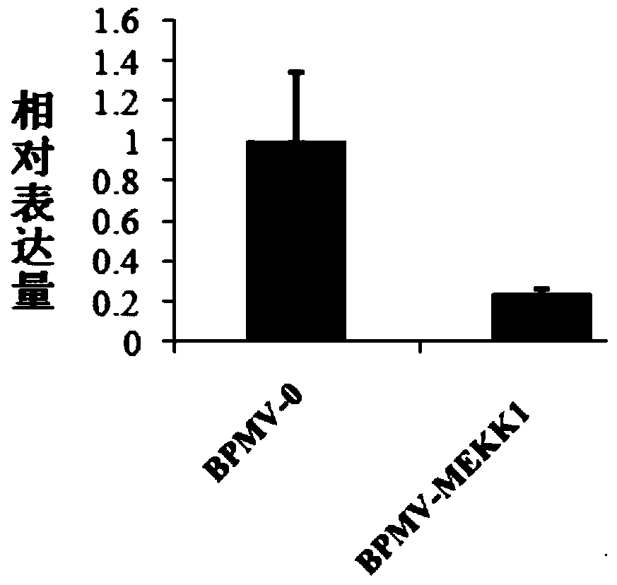 Application of soybean glyma.04g253500 disease resistance gene