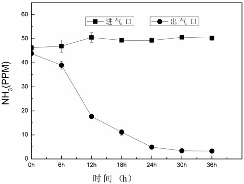 Compound microbial agent for deodorizing livestock and poultry manure and preparation method of compound microbial agent