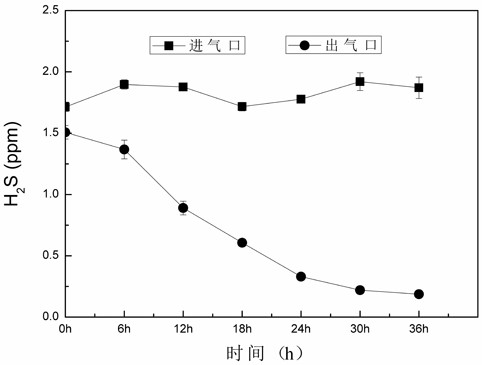 Compound microbial agent for deodorizing livestock and poultry manure and preparation method of compound microbial agent