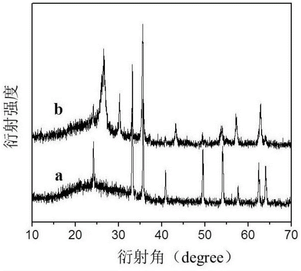 Preparation method and application of thia-graphene/gamma-Fe2O3 nano composite material
