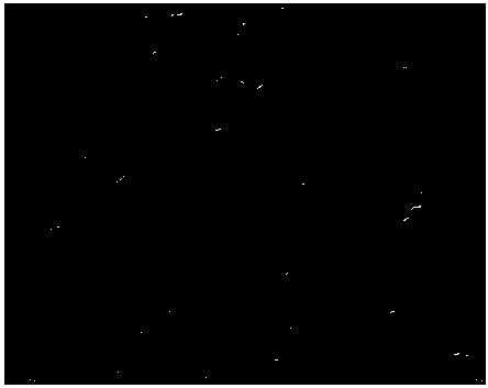 Preparation method of nano-antibacterial growth regulator for biological source sprouting vegetable