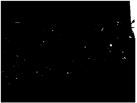 Preparation method of nano-antibacterial growth regulator for biological source sprouting vegetable