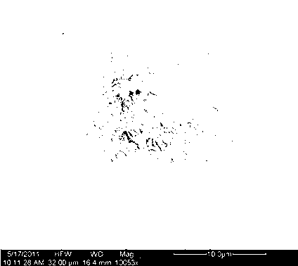 Preparation method of cellulose ether-ethyl orthosilicate pervaporation hybrid membrane