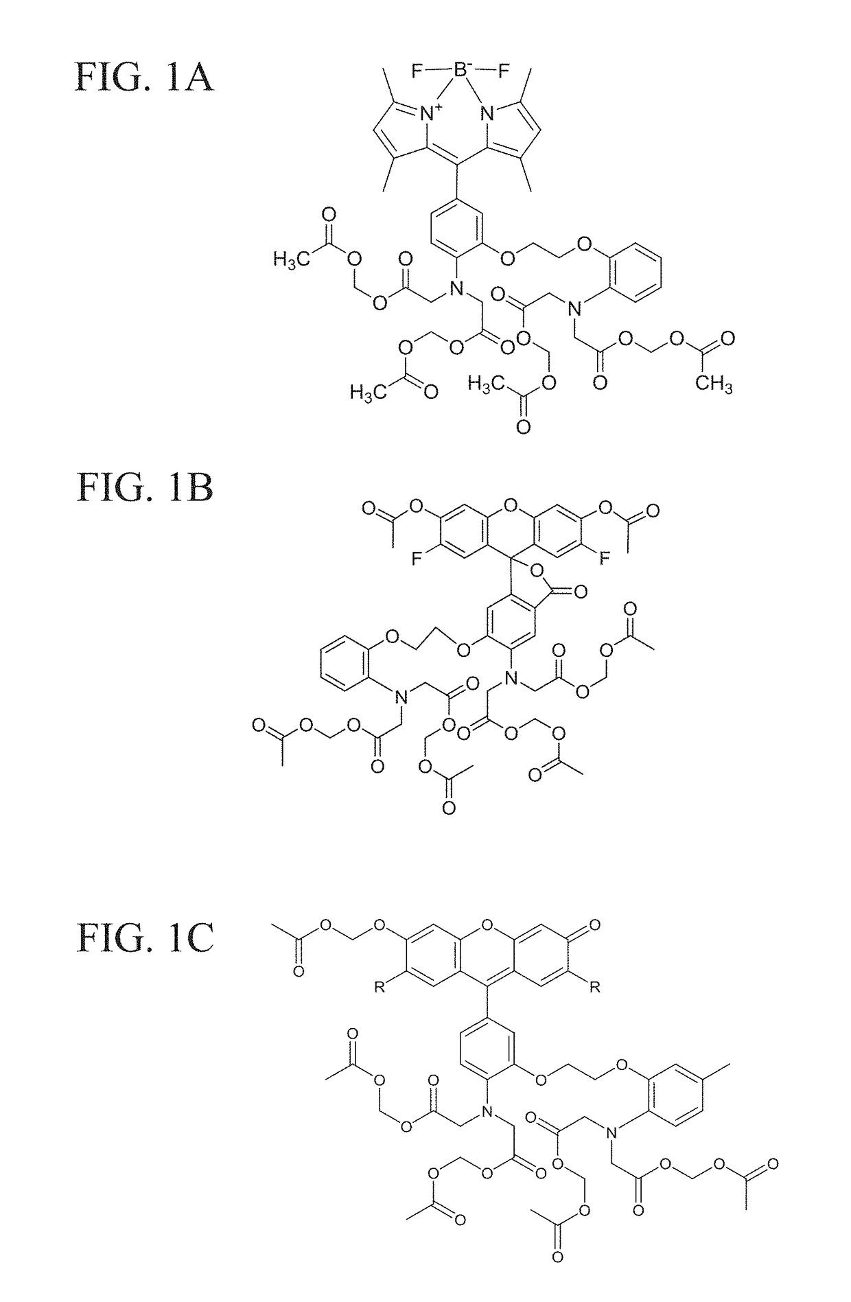 Fluorogenic calcium ion indicators and methods of using the same