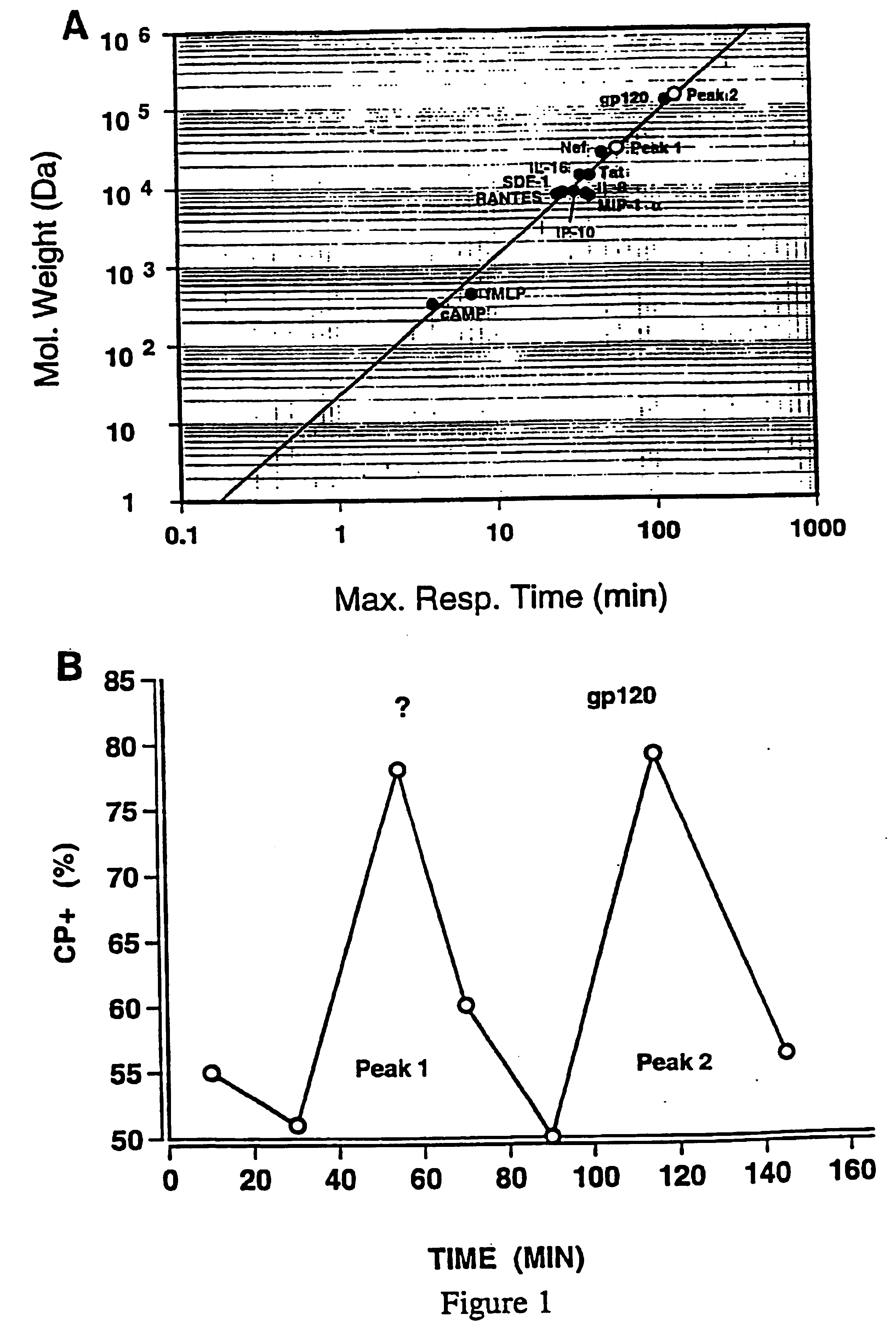 HIV-encoded chemoattractant