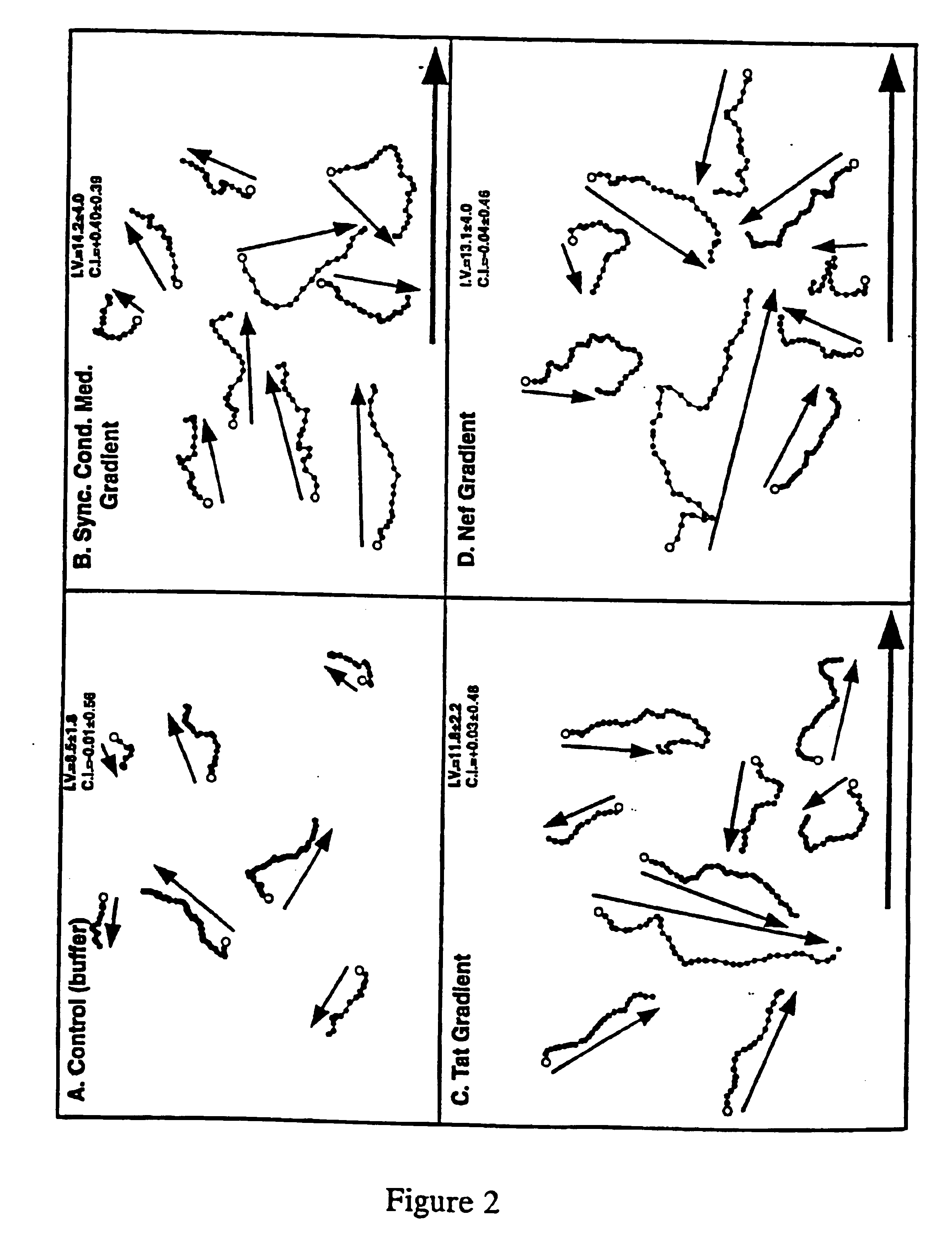 HIV-encoded chemoattractant