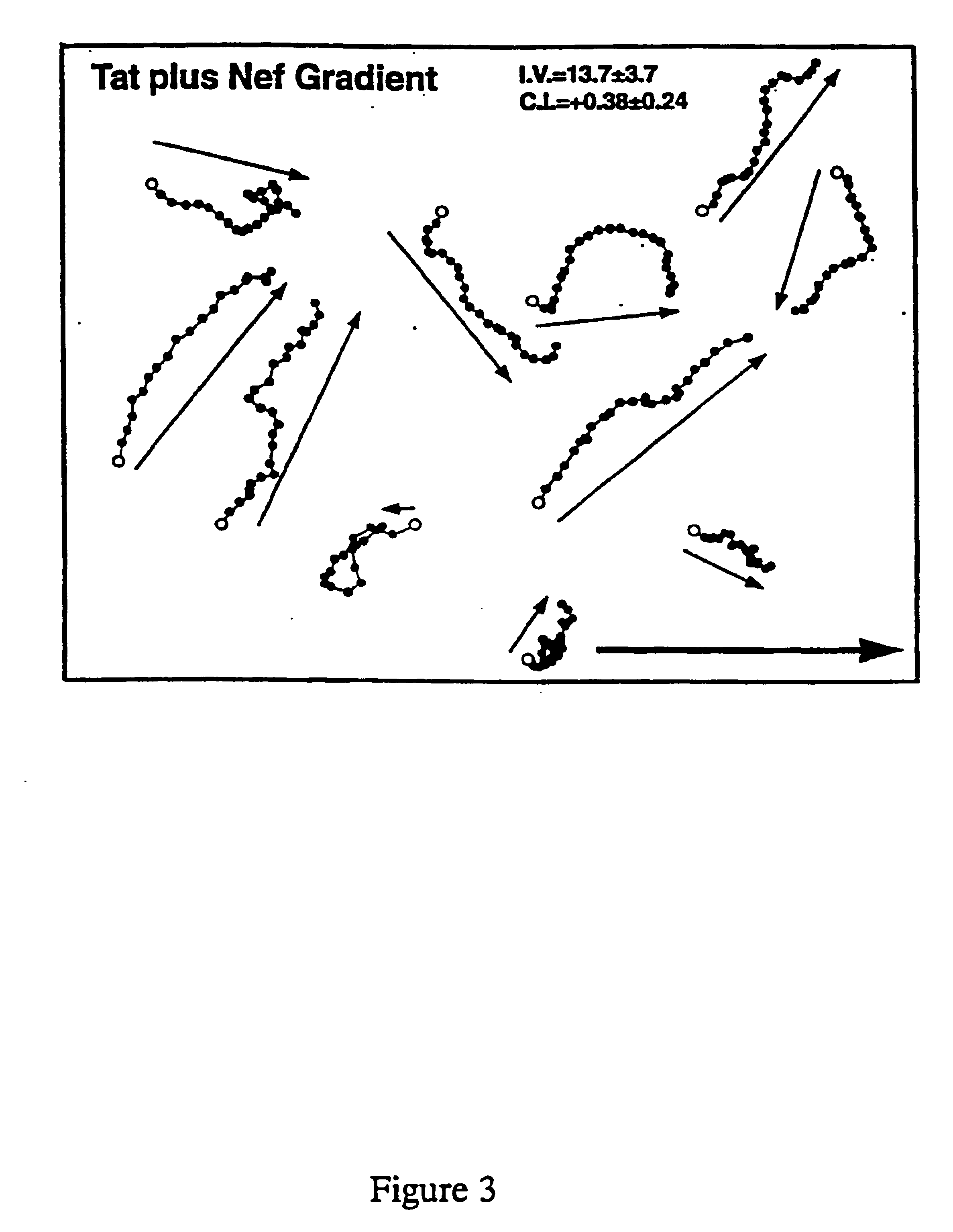 HIV-encoded chemoattractant