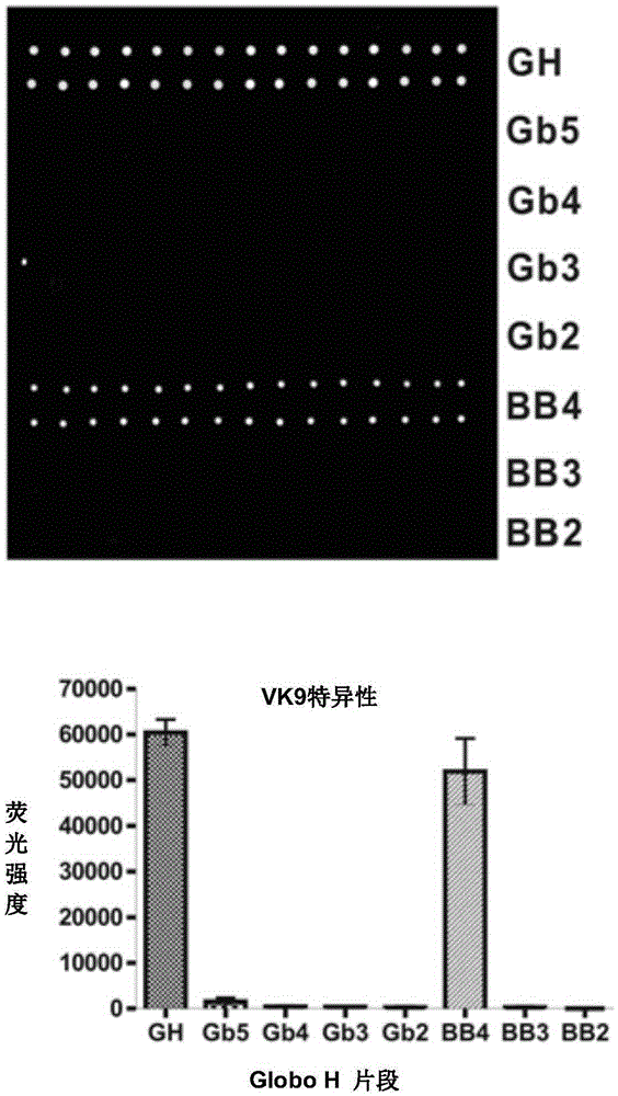 globo H and related anticancer vaccines containing novel glycolipid adjuvants