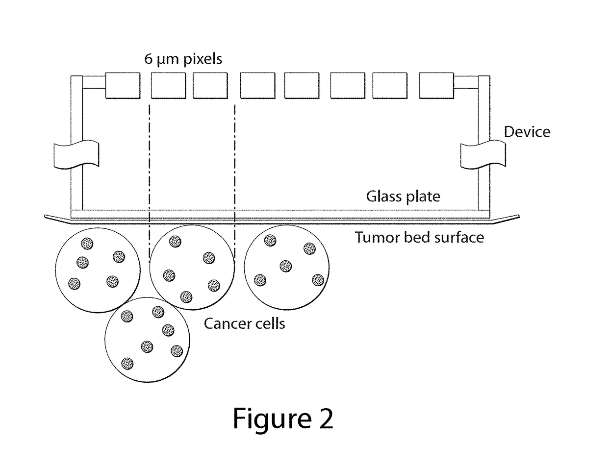 Imaging agent for detection of diseased cells