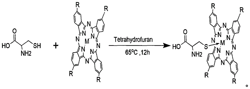 Antibacterial itching relieving preparation and preparation method thereof