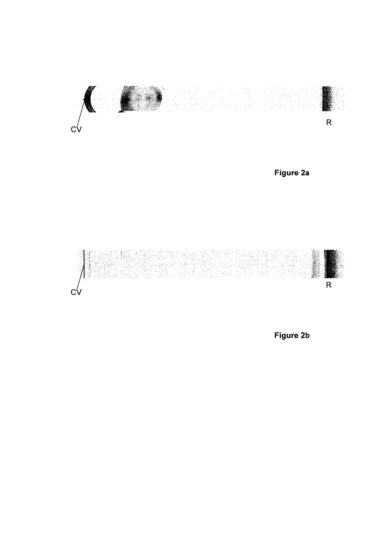 Device for reliably determining biometric measurement variables of the whole eye