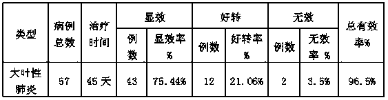 Medicine for treating lobar pneumonia, and preparation method of medicine