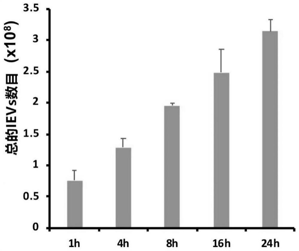 Application of extracellular vesicles in preparation of preparation for regulating ovarian function