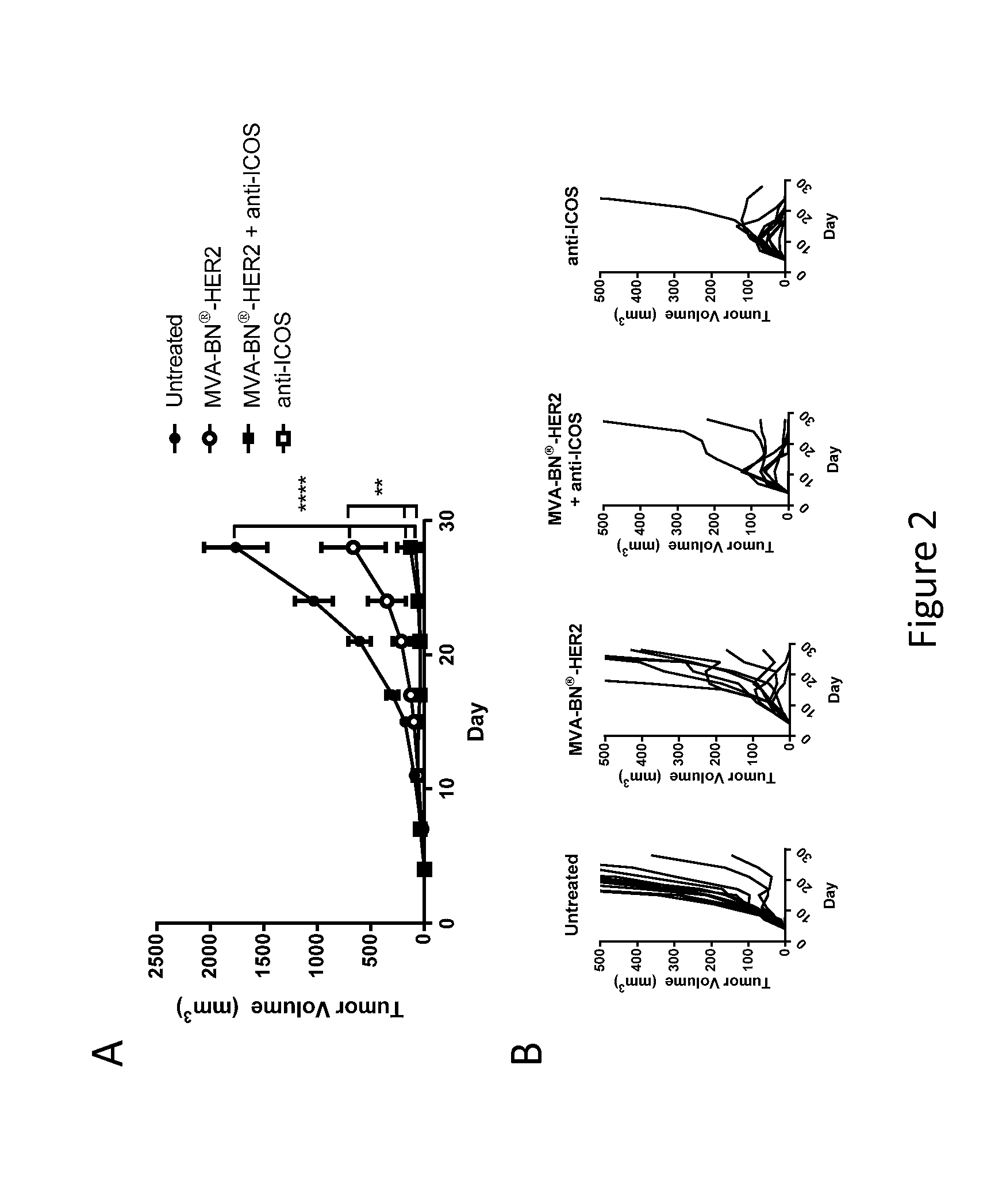 Combination Therapy for Treating Cancer with a Poxvirus Expressing a Tumor Antigen and an Antagonist and/or Agonist of an Immune Checkpoint Inhibitor