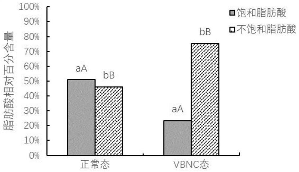 Induction of VBNC state of lactobacillus casei Zhang and detection method of cell fatty acid in VBNC state