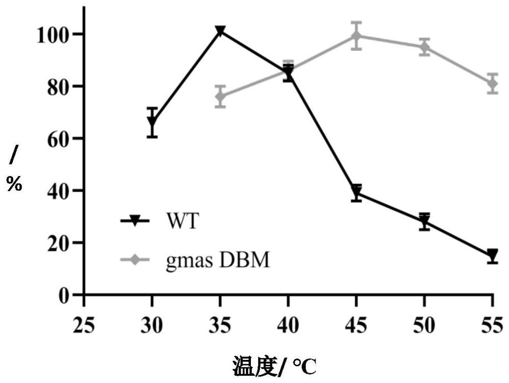 Mutant with thermal stability of gamma-glutamine methylamine synthetase and encoding gene, amino acid sequence and application of gamma-glutamine methylamine synthetase mutant
