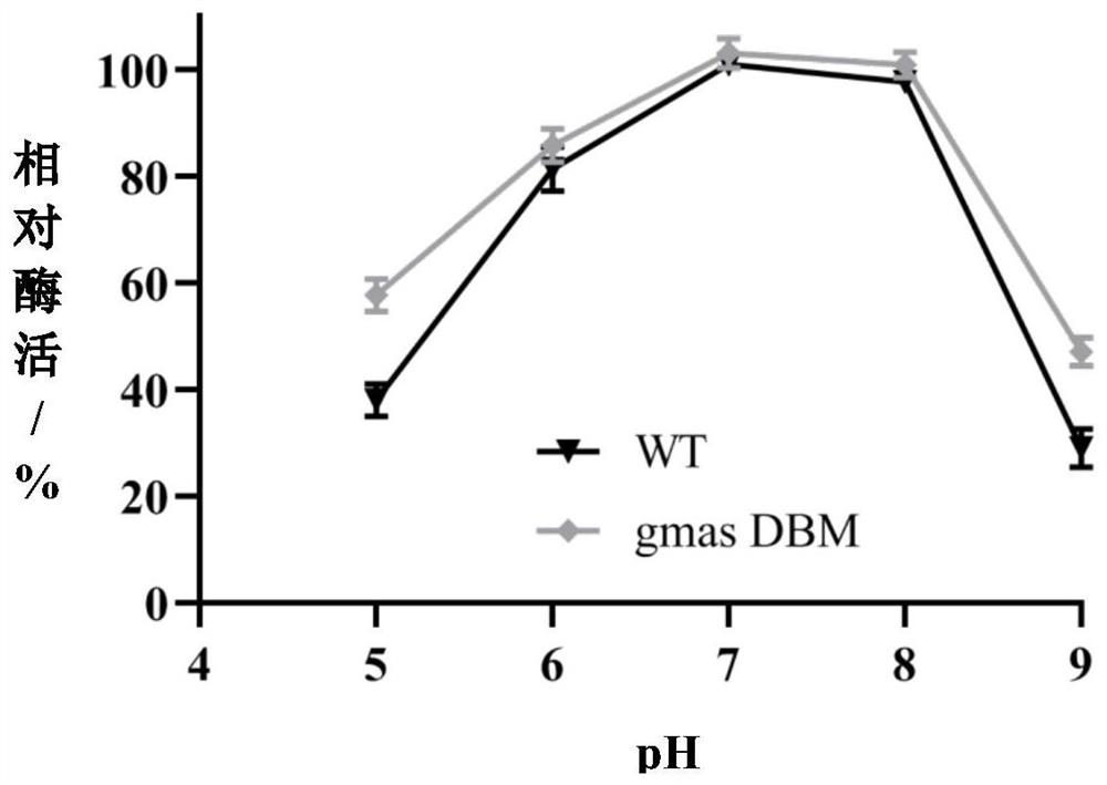 Mutant with thermal stability of gamma-glutamine methylamine synthetase and encoding gene, amino acid sequence and application of gamma-glutamine methylamine synthetase mutant