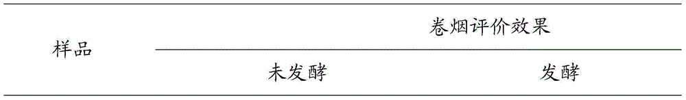 Preparation method of radix angelicae pubescentis extract for cigarettes