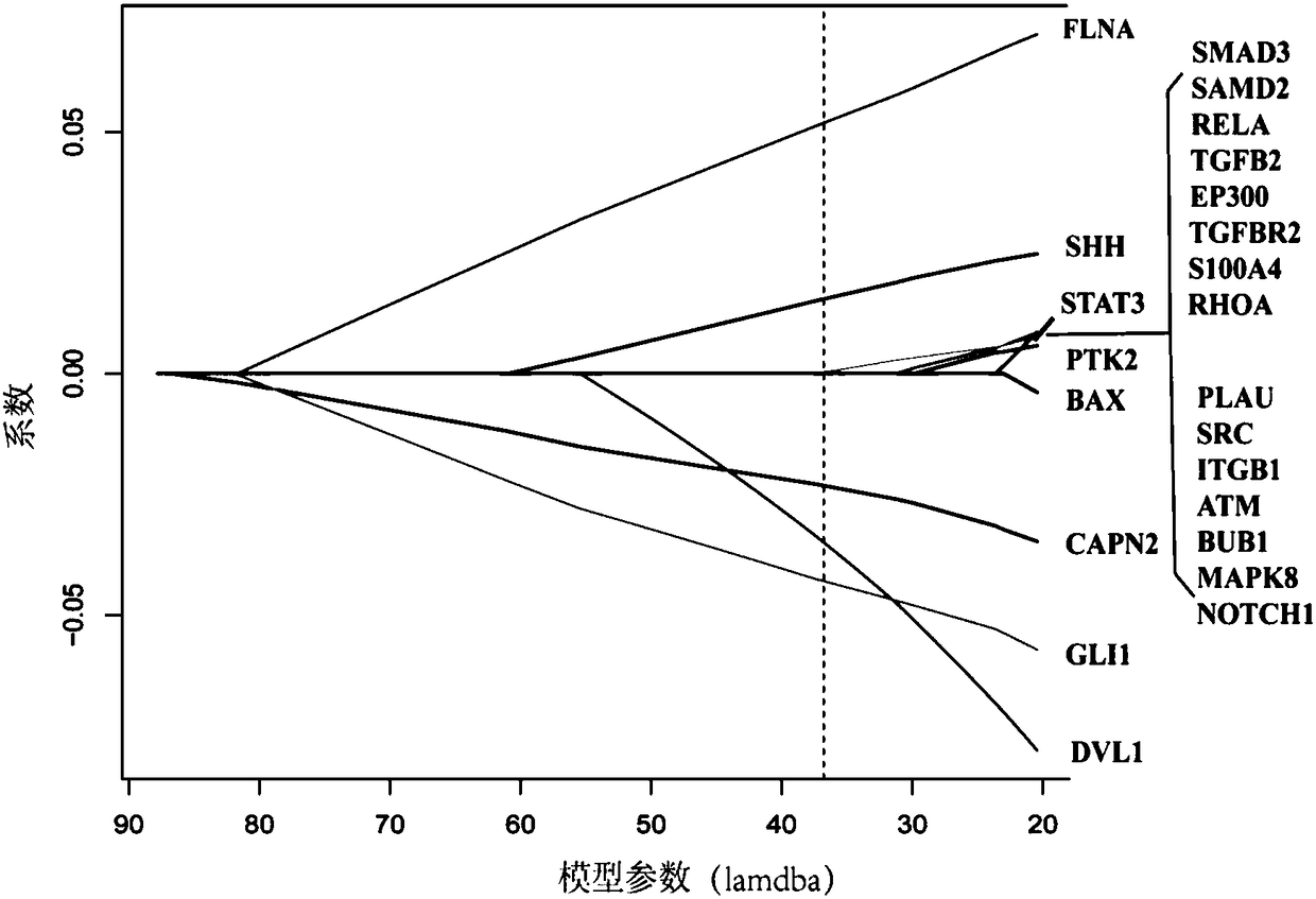 Application of combined marker in preparation of pancreatic cancer prognosis kit as well as determining system and method of combined marker