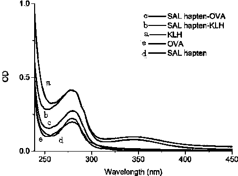 Synthesis method of structurally specific salbutamol complete antigen