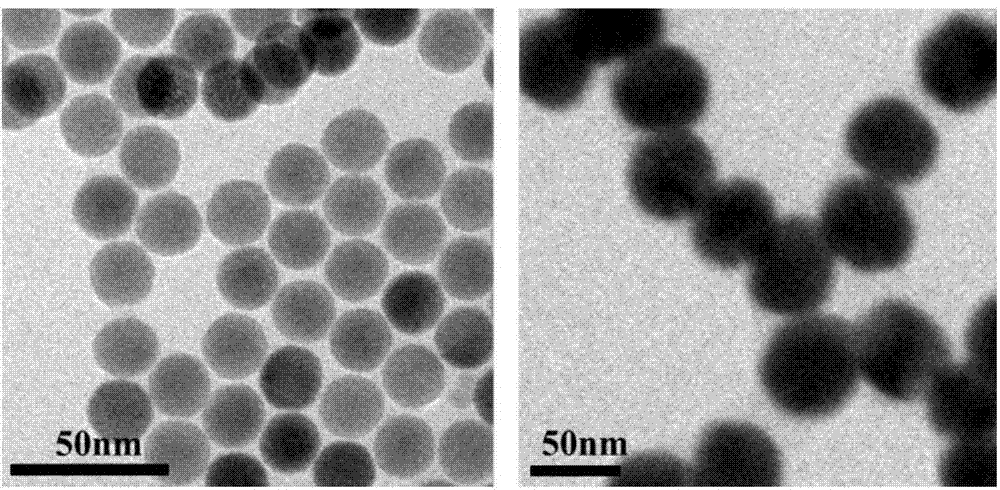 Preparation method of targeted rare earth upconversion Au-core nanoparticle