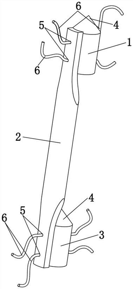 Bone-patellar tendon-bone graft structure and preparation method thereof