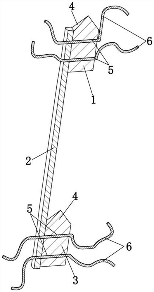 Bone-patellar tendon-bone graft structure and preparation method thereof