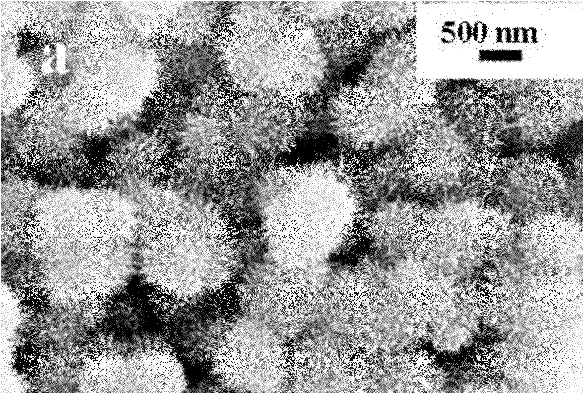 Preparation method of echinoid titanium dioxide microspheres in single/double layer cavity structure