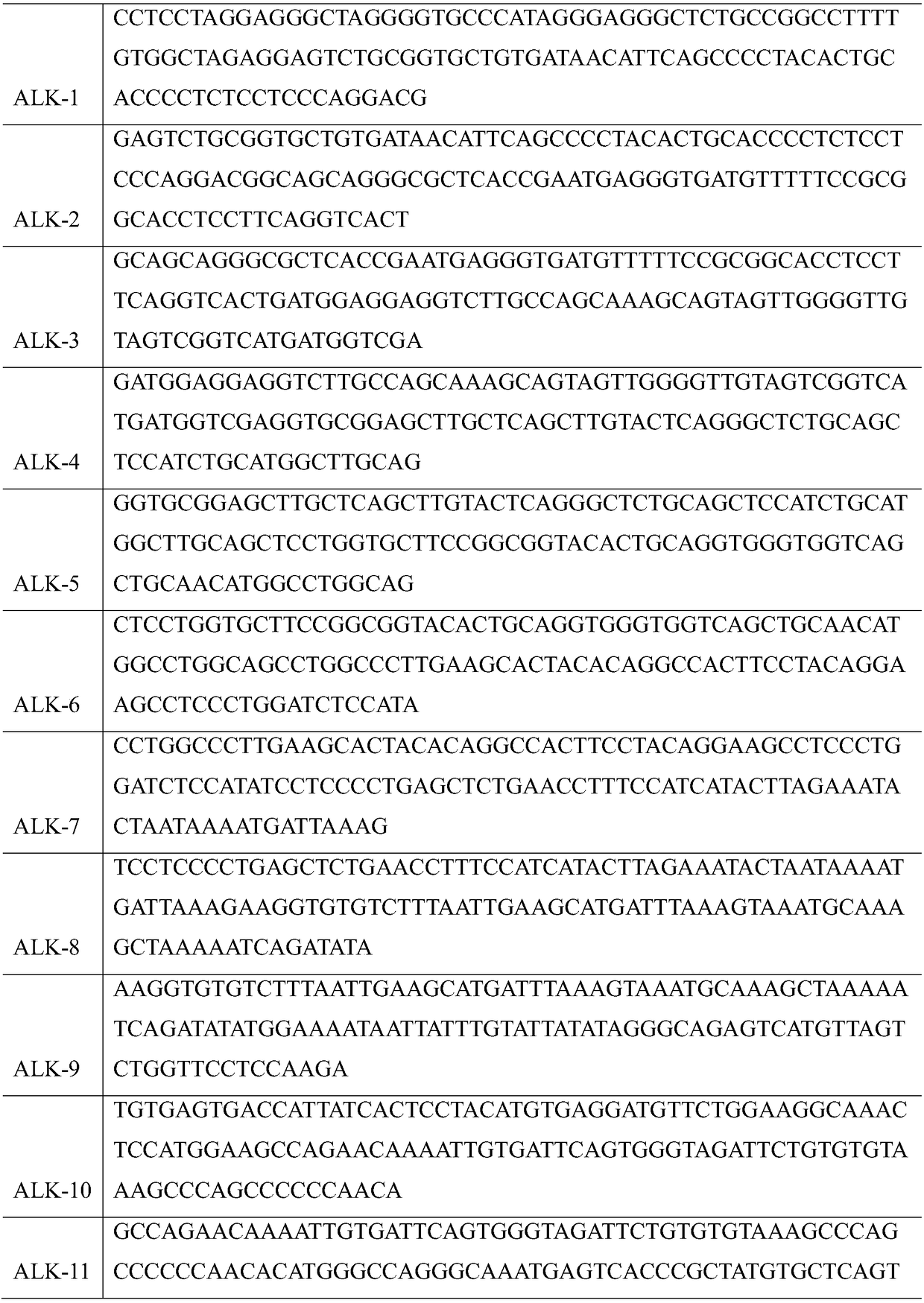 Method, enrichment probe and detection primer for rapidly detecting ALK fusion gene