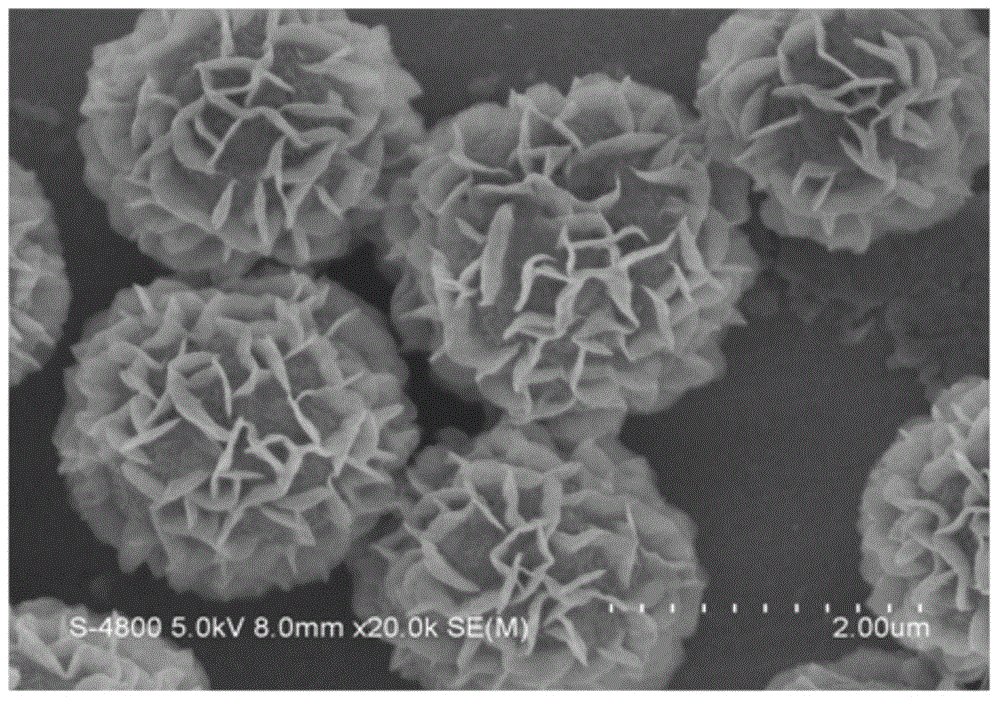 A kind of photocatalyst, its preparation method and application