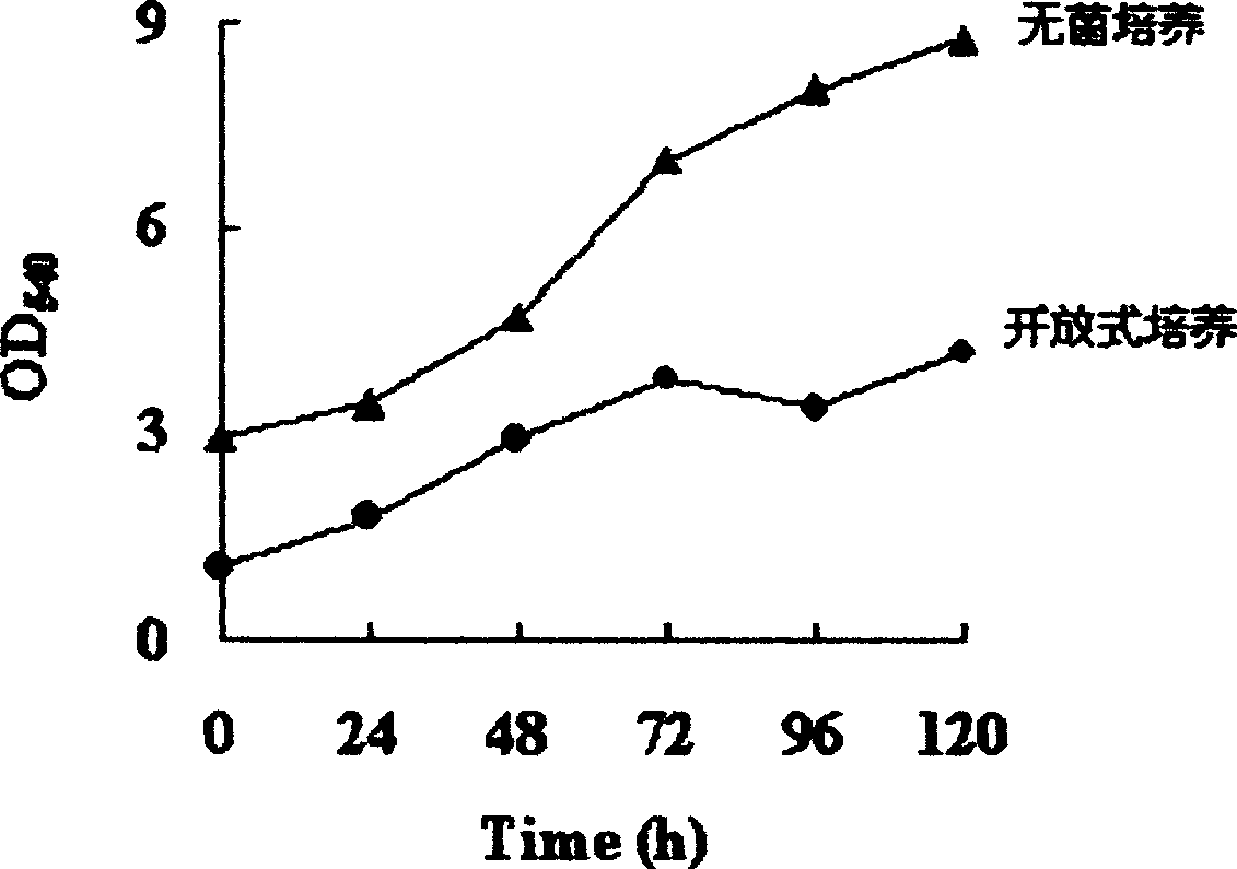 Method for semiaseptic culturing heterotrophic chlorella