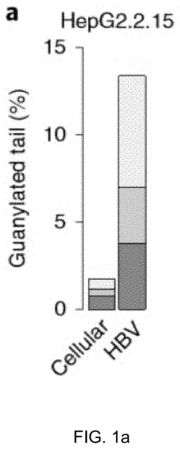 Method for inhibiting infection and activation of virus