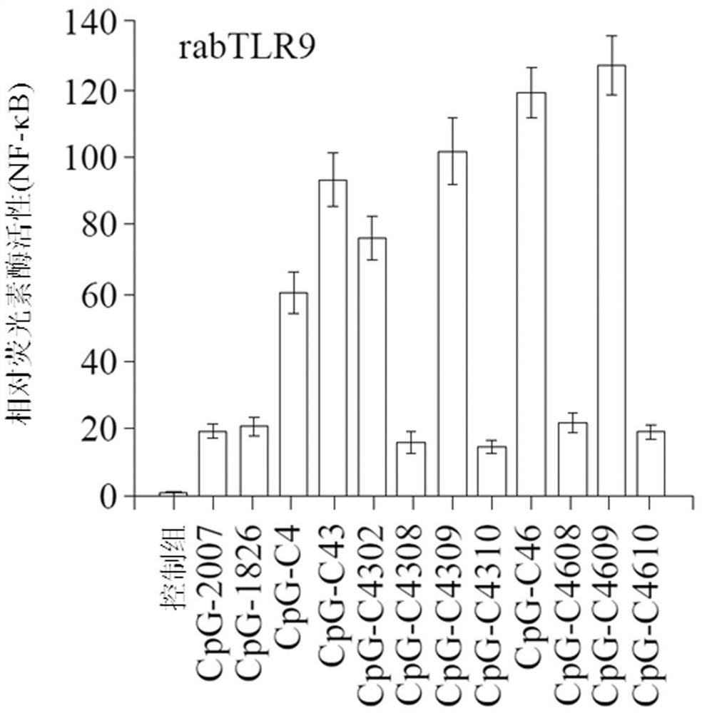 Cpg oligodeoxynucleotide, immune composition comprising same and application of composition for preparation of medicine for stimulating immune response