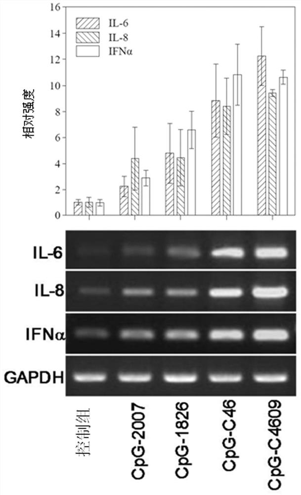 Cpg oligodeoxynucleotide, immune composition comprising same and application of composition for preparation of medicine for stimulating immune response