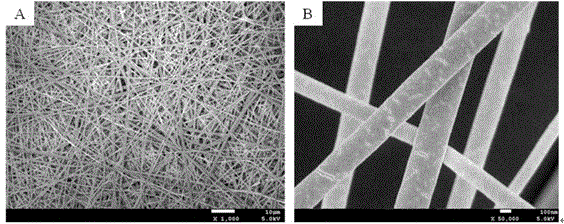 Oxidation chitosan graft modified porcine dermal collagen micro-nano fiber membrane and preparation method thereof