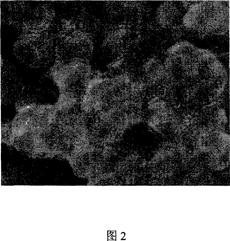 Multi-phase structure designed high-conductive electrical zirconate barium proton conductor and preparation method thereof
