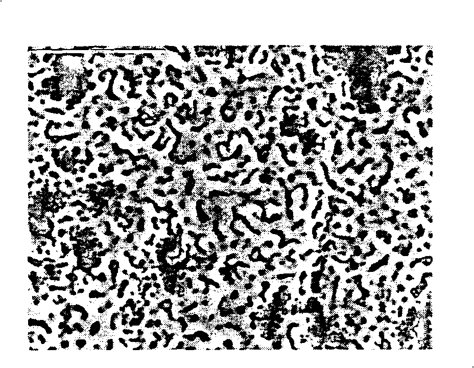 Bioactive coating on surface of Titanium or titanium alloy and its preparing method