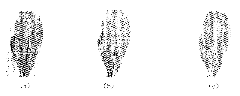 Method for characterizing color of characteristic tobacco by place of origin